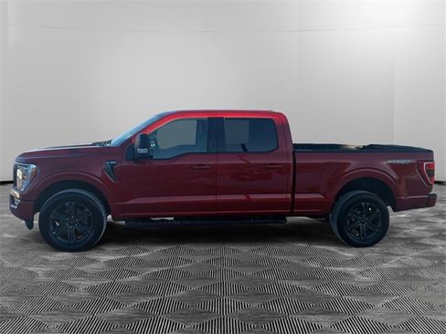 Used 2023 Ford F150 XLT w/ Equipment Group 302A High image 2