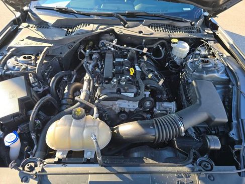 Used 2021 Ford Mustang EcoBoost w/ Equipment Group 101A image 22