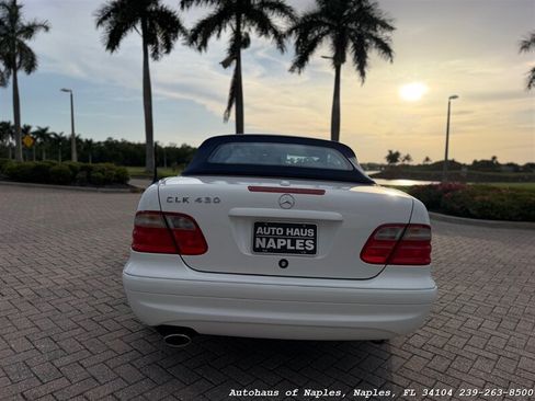 Used 2001 Mercedes-Benz CLK 430 Cabriolet image 6
