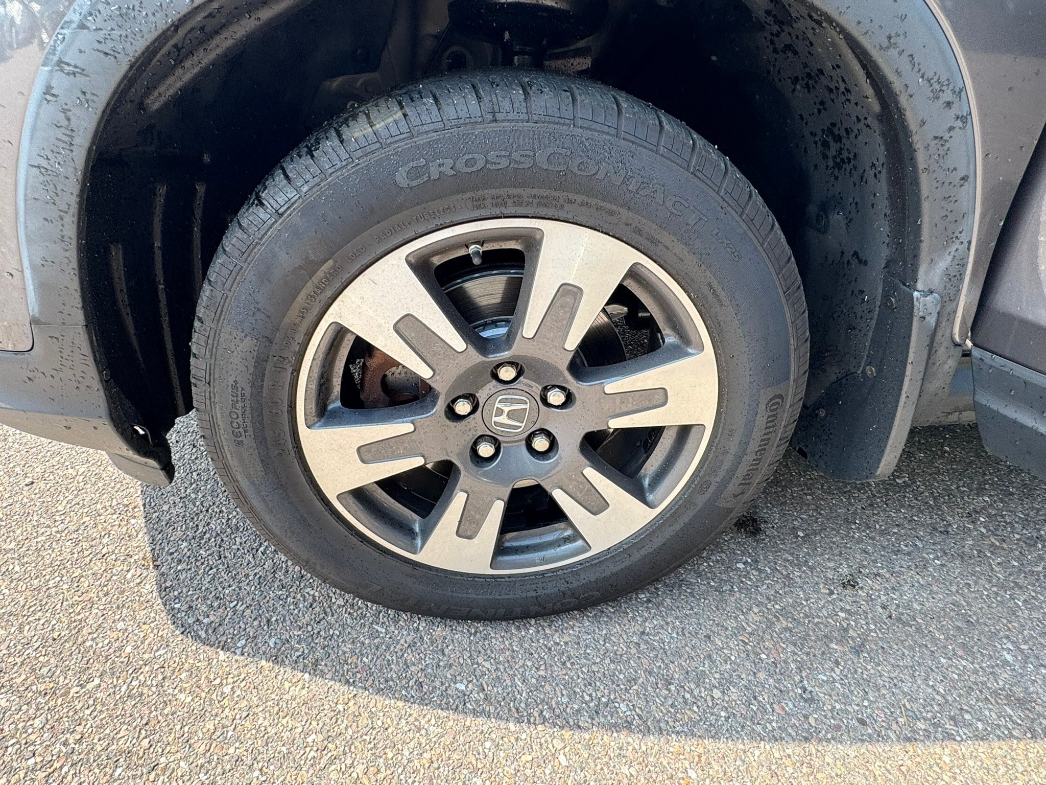 Used 2019 Honda Ridgeline RTL image 25