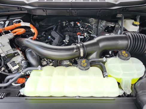 New 2025 Ford F150 XLT w/ Equipment Group 302A MID image 20