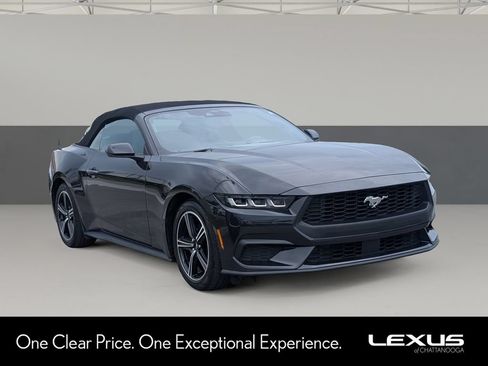 Used 2024 Ford Mustang Convertible RWD image 1