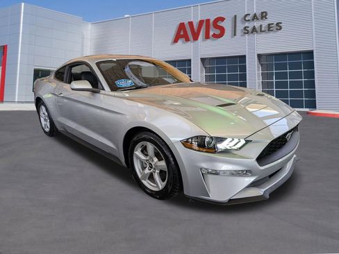 Used 2019 Ford Mustang Coupe RWD image 3
