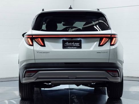 Used 2025 Hyundai Tucson Limited image 7