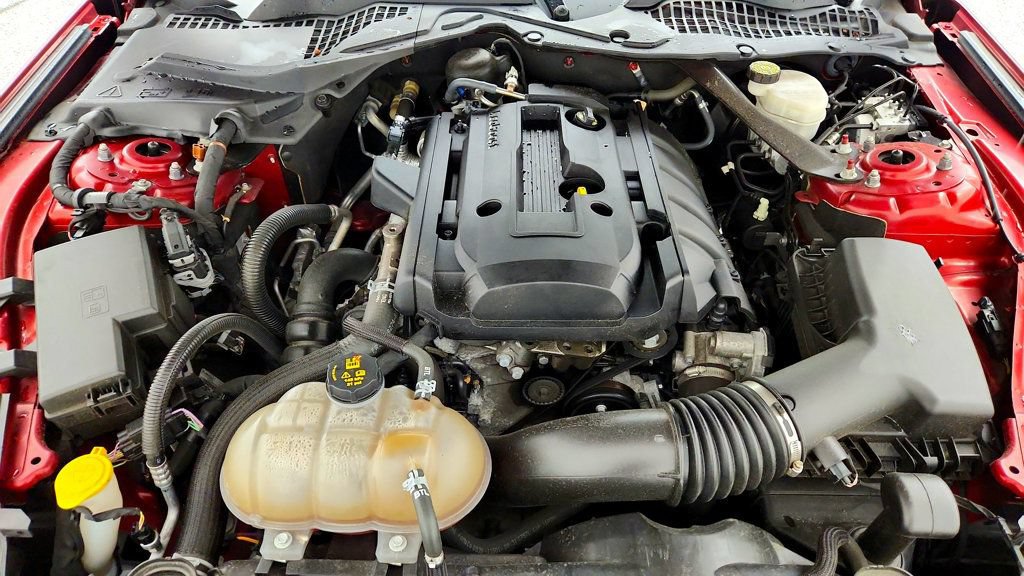 Used 2019 Ford Mustang Convertible w/ Equipment Group 101A RWD image 24