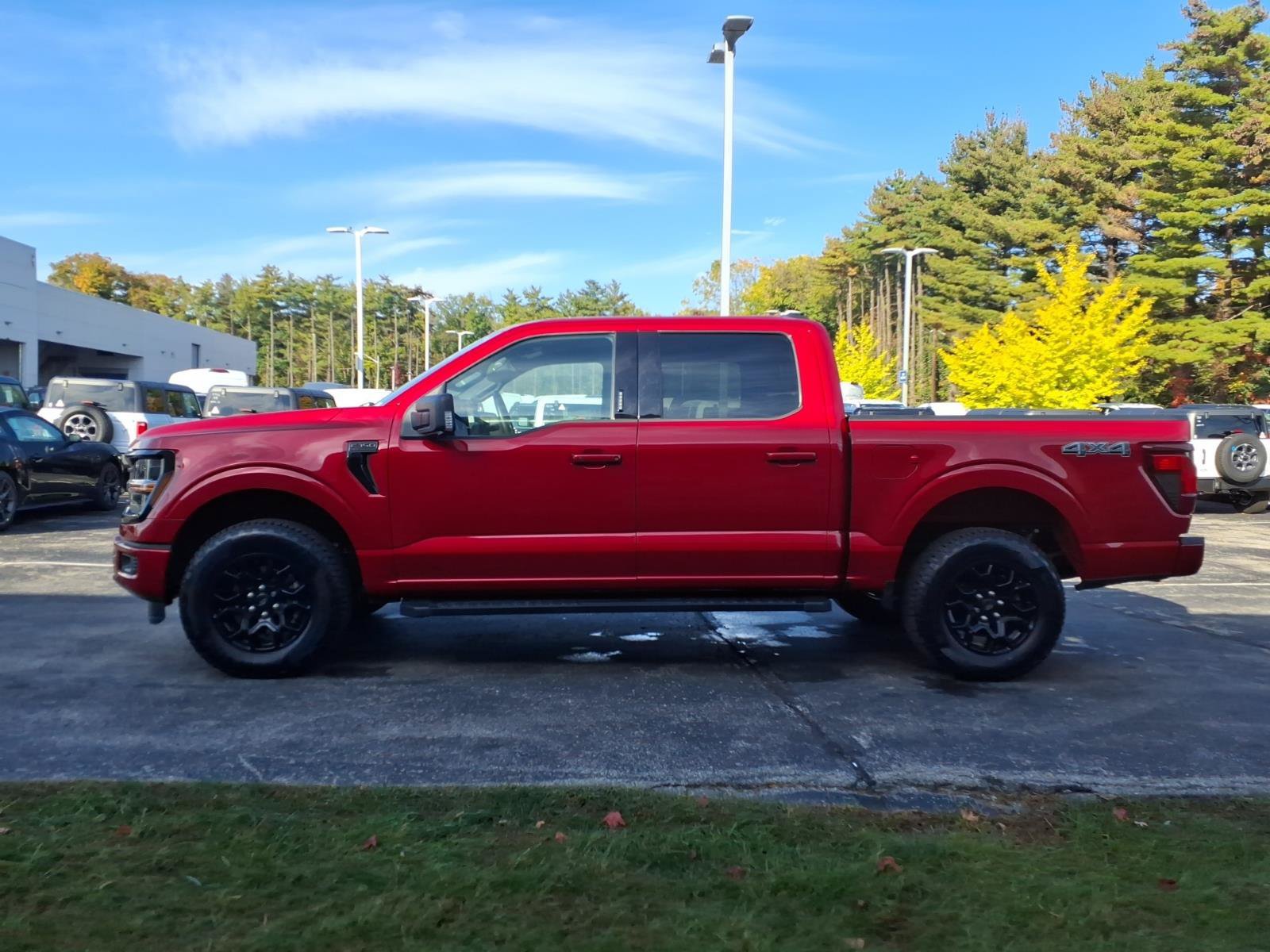 Used 2024 Ford F150 XLT w/ Equipment Group 302A MID AWD/4WD image 6