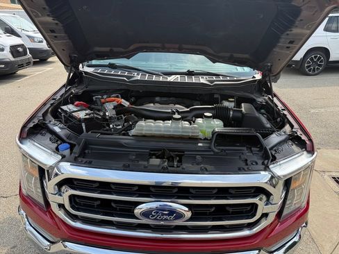 Used 2021 Ford F150 XLT w/ Equipment Group 302A High AWD/4WD image 27