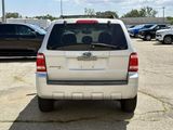 Used 2008 Ford Escape XLT image 4