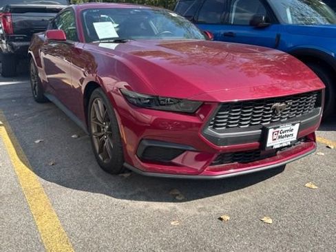 Used 2025 Ford Mustang Premium RWD image 2