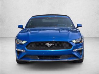Used 2019 Ford Mustang Premium w/ Equipment Group 201A video 2