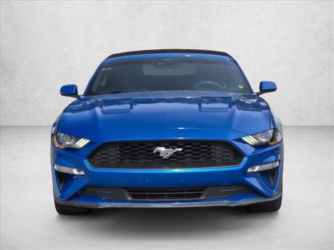 Used 2019 Ford Mustang Premium w/ Equipment Group 201A image 2