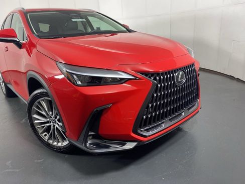 Certified 2025 Lexus NX 350h AWD w/ Cold Area Package image 2