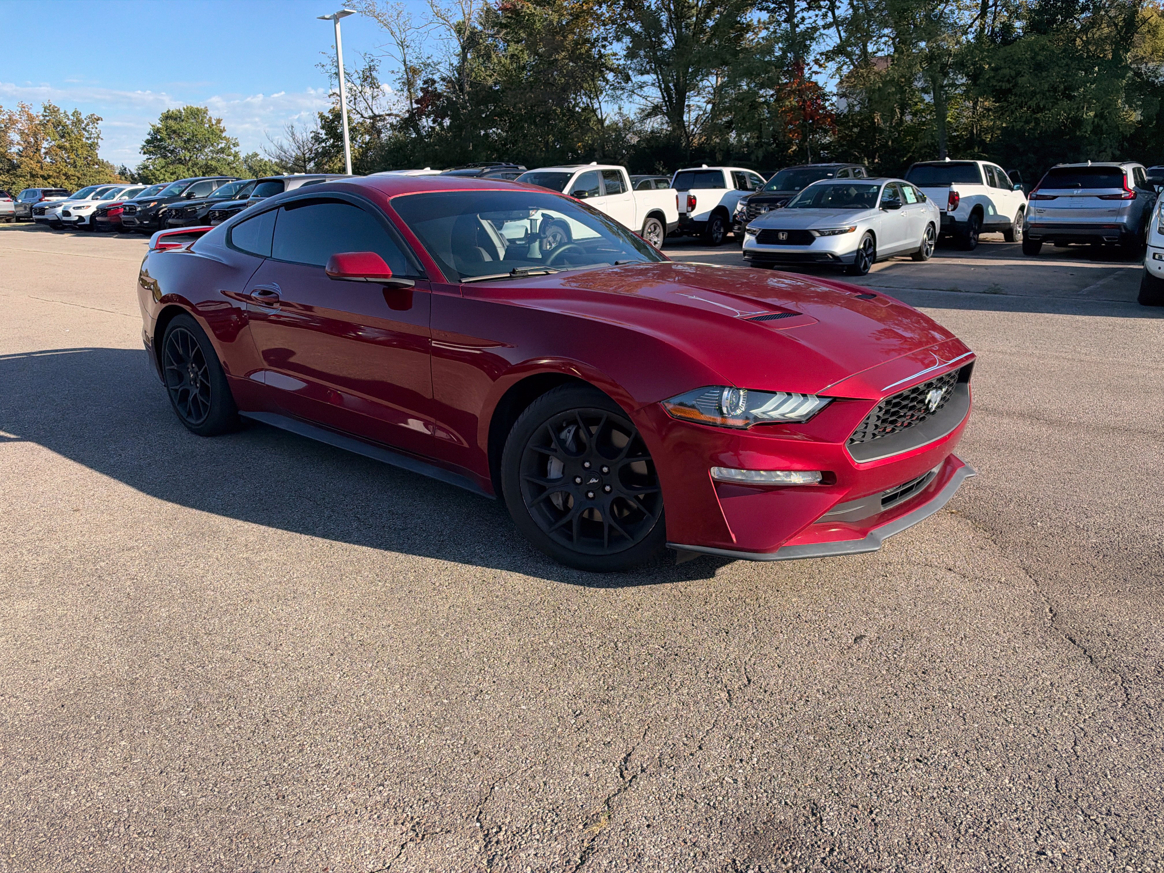 Used 2018 Ford Mustang Coupe w/ Ecoboost Performance Package RWD image 20