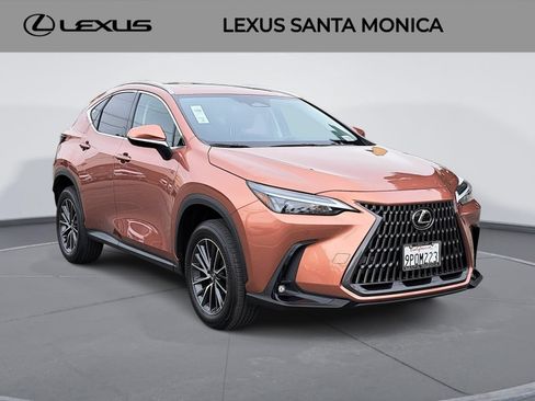 Used 2025 Lexus NX 350 AWD w/ Cold Area Package image 3
