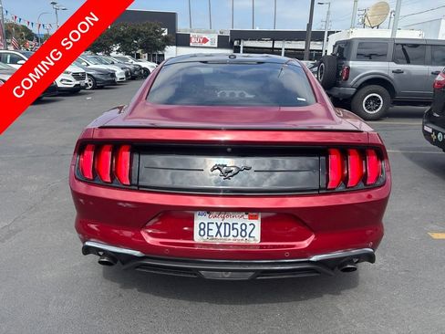 Used 2018 Ford Mustang Coupe w/ Equipment Group 101A RWD image 5