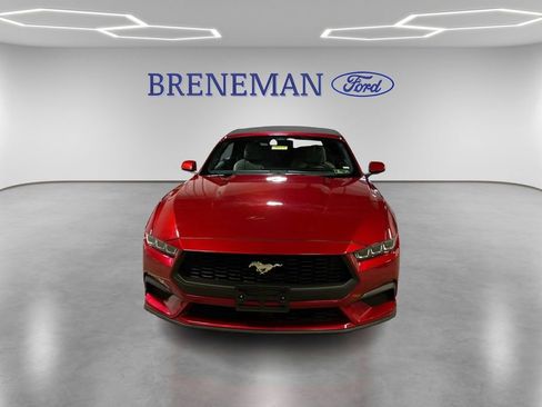 Used 2024 Ford Mustang Premium image 2