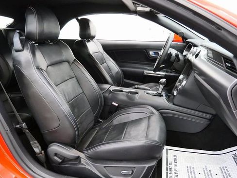 Used 2019 Ford Mustang GT Premium w/ Equipment Group 401A image 4