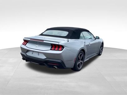 Used 2024 Ford Mustang Premium