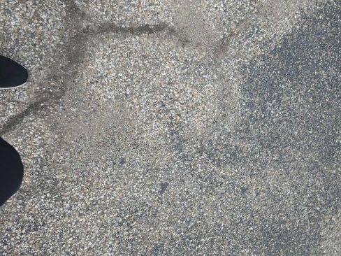 Certified 2024 Ford Escape ST-Line w/ Tech Pack #1 image 11