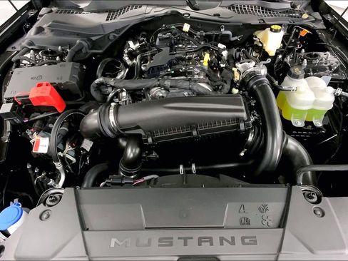 New 2026 Ford Mustang EcoBoostﾮ Fastback image 16