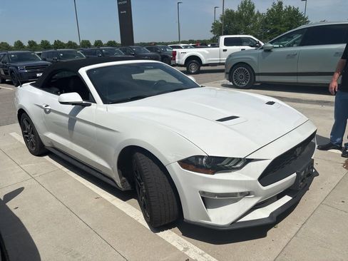 Used 2019 Ford Mustang Premium RWD image 3
