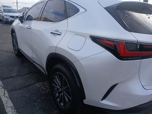Used 2024 Lexus NX 350 AWD w/ Cold Area Package image 5