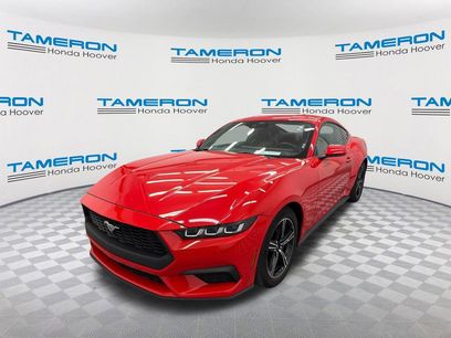 Used 2024 Ford Mustang Premium