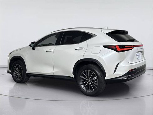 Used 2024 Lexus NX 350h AWD image 3