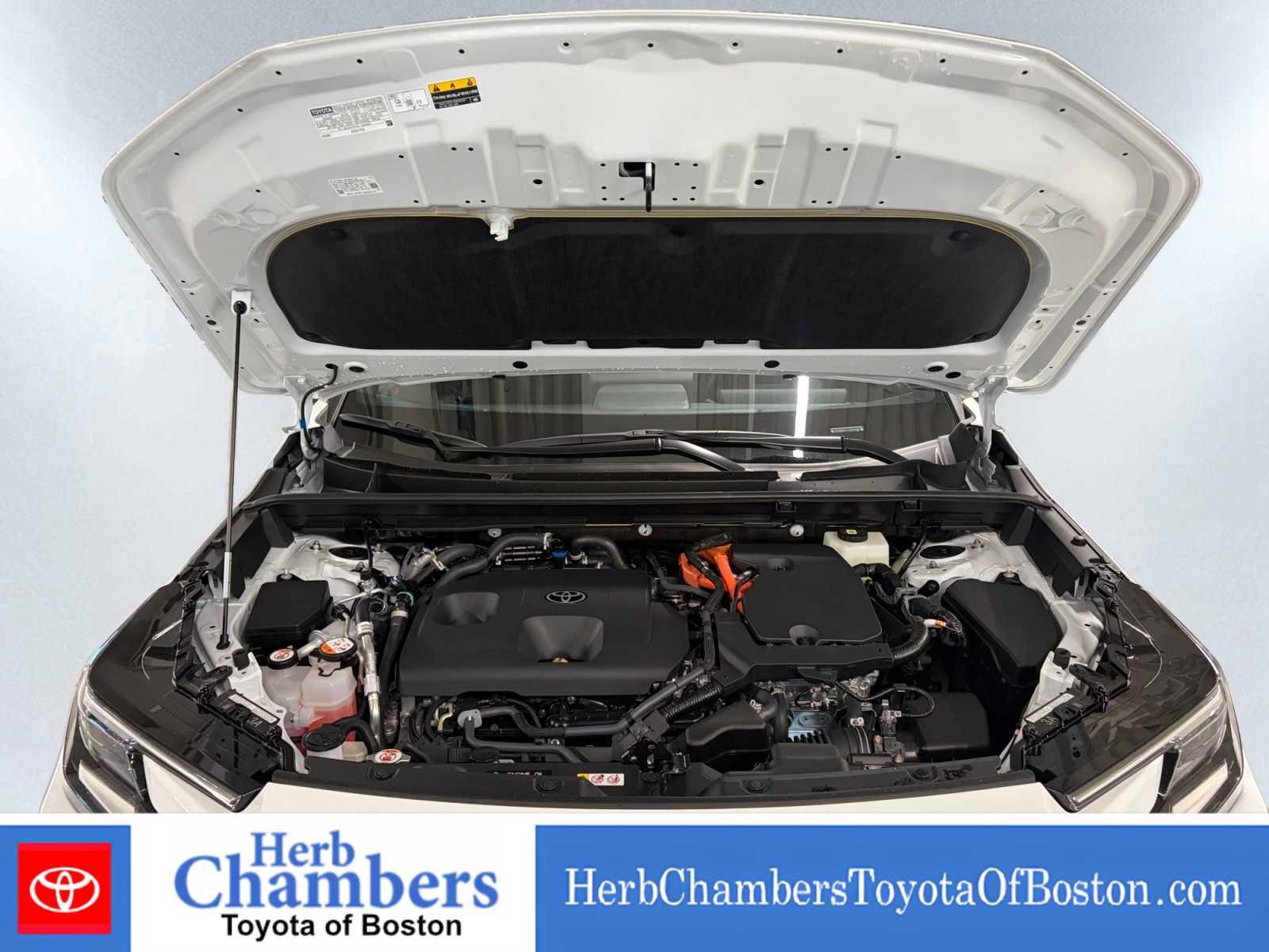 Used 2026 Toyota RAV4 SE w/ Convenience Package AWD/4WD image 7