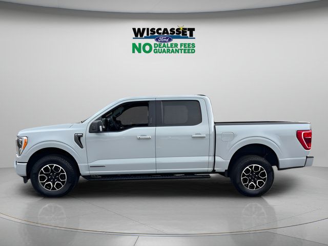 Used 2023 Ford F150 XLT w/ Equipment Group 302A High AWD/4WD image 2