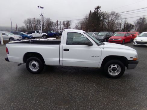Used 2000 Dodge Dakota Base 2dr Standard Cab SB image 5
