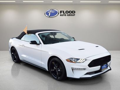 Certified 2023 Ford Mustang Convertible w/ Mustang Nite Pony Package