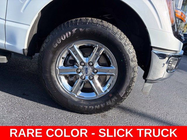 Used 2025 Ford F150 XLT w/ Equipment Group 301A Standard AWD/4WD image 8