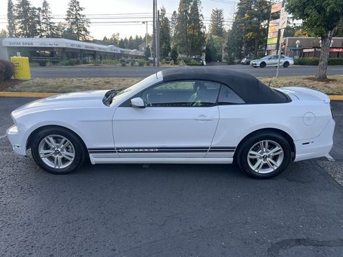 Used 2014 Ford Mustang Premium w/ Equipment Group 201A RWD image 2