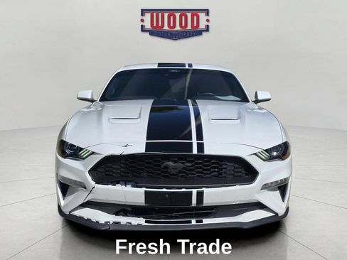 Used 2021 Ford Mustang Coupe RWD image 2