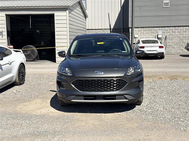 Certified 2020 Ford Escape SE FWD image 2