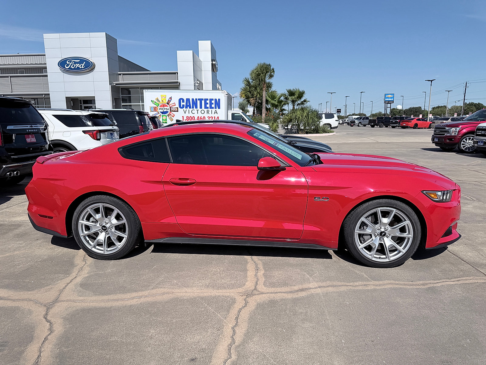 Used 2015 Ford Mustang GT Premium w/ 50 Years Appearance Package RWD image 8