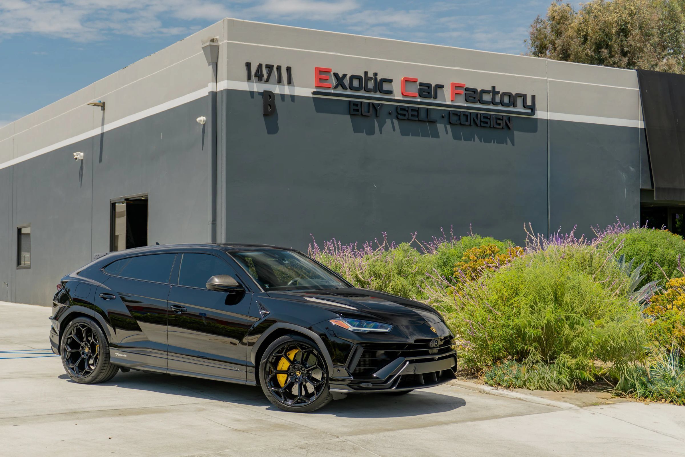 Used 2024 Lamborghini Urus Performante AWD/4WD image 1