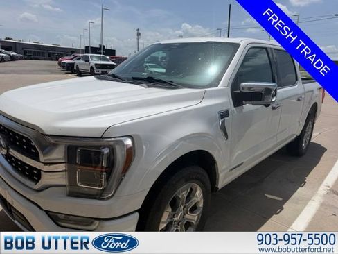 Used 2021 Ford F150 Platinum w/ Equipment Group 701A High AWD/4WD image 1