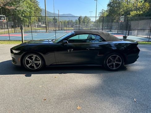 Used 2024 Ford Mustang Premium image 7