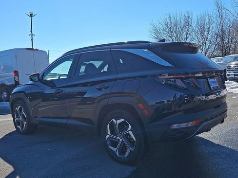 Used 2024 Hyundai Tucson Limited image 4