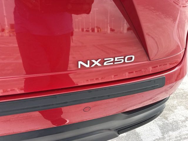 Certified 2024 Lexus NX 250 FWD w/ Cold Area Package image 25