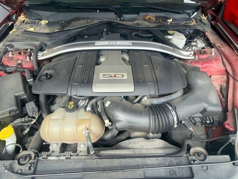 Used 2019 Ford Mustang GT Premium w/ GT Performance Package RWD image 11