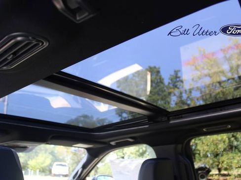 New 2025 Ford Expedition Platinum w/ Stealth Appearance Package image 13