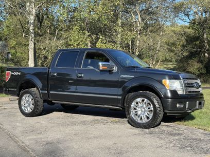 Used 2010 Ford F150 Platinum