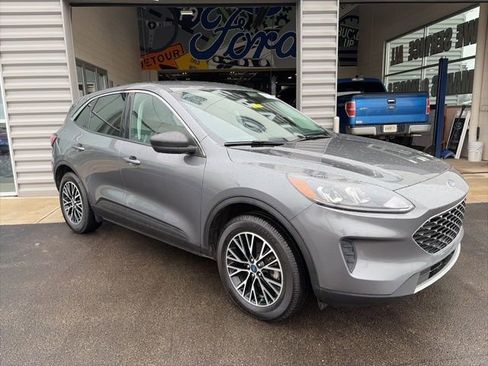 Used 2022 Ford Escape SE w/ Cold Weather Package FWD image 4