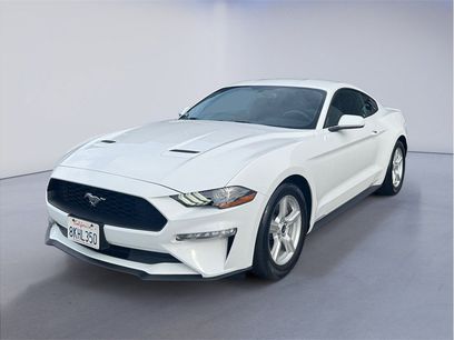 Used 2019 Ford Mustang Coupe