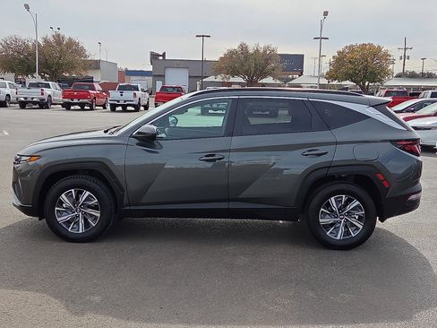 Used 2024 Hyundai Tucson Blue image 2