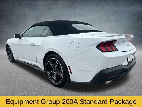 Used 2024 Ford Mustang Premium image 6