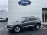Used 2022 Ford Escape SE w/ Cold Weather Package image 2